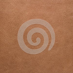 Texture of leather in brown colors