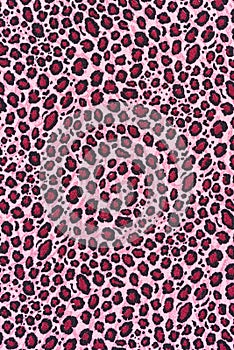 Texture of leopard pink fabric striped
