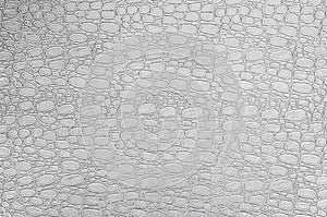 The texture of light crocodile skin.