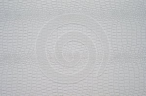The texture of light crocodile skin.
