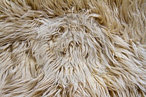 Texture of light pelt