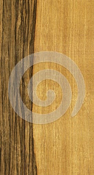 Texture of limba tree