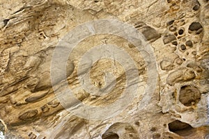 Texture of limestone wall