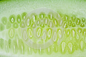 Texture of the longitudinal slice of ripe cucumber