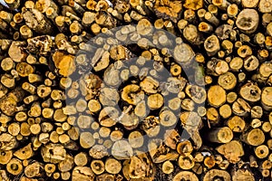 Texture made by a stack of fresh cut wood