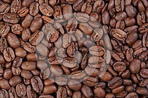 Texture of Maragogype Colombia gourmet coffee on macro.