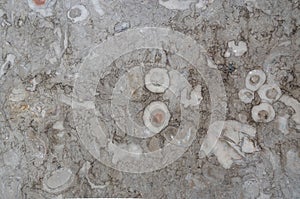 Texture of marble is gray-beige with large pattern-round spots, stains, cracks