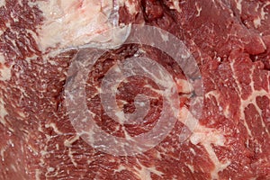 Texture, marbled red meat with streaks of fat.