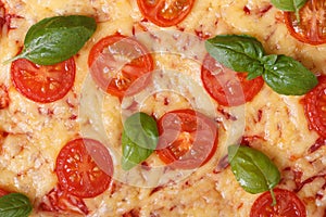 Texture margarita pizza with tomato, basil and cheese