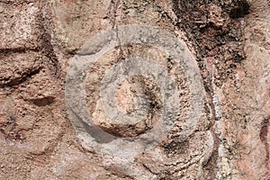 The texture of the masonry walls of light-colored stone