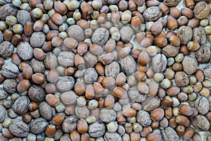 Texture mixture of hazelnut and walnut