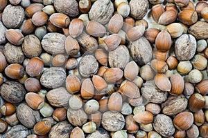 Texture mixture of hazelnut and walnut