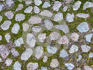 The texture of the moss-covered stone pavement . Background