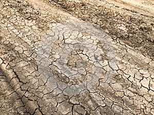 Texture of the motocycle tire