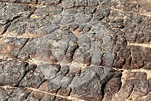 Texture of mountain rock