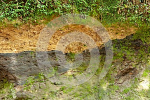 Texture of a mud wall.