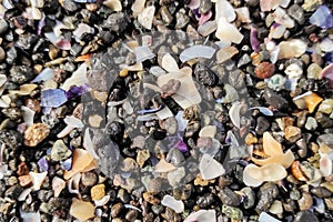 Texture of multicolored broken shells and small pebbles on the beach. Background image