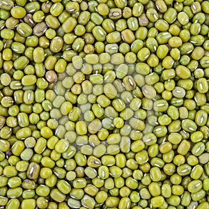 Texture of mung bean grain