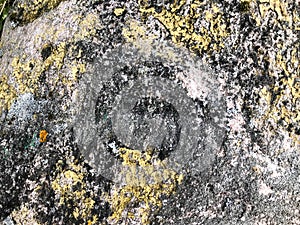 Texture of natural carved solid strong rough textured mineral gray brown stone cobblestone walls of the rock. Stone background