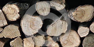 Texture of natural fireplace woodpile with year rings.