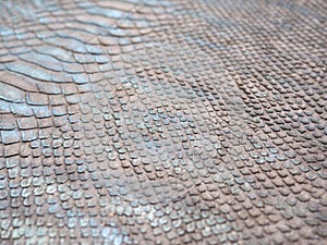 Natural reptile skin texture photo