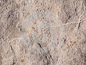 The texture of natural rock, the surface of natural stone, and the pattern of steppingstone