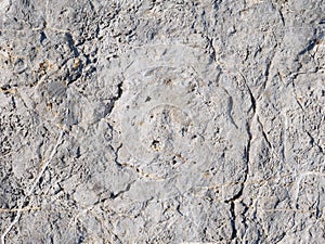 The texture of natural rock, the surface of natural stone, and the pattern of steppingstone