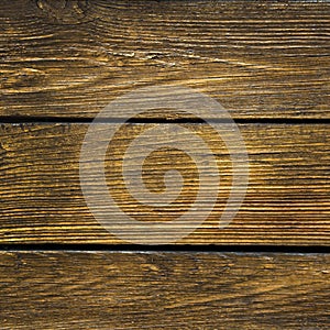 Texture of natural wood