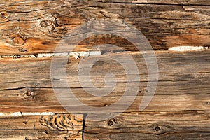 The texture of natural wood