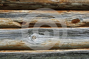 Texture of natural wood grain