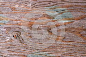 Texture of natural wood painted with paint