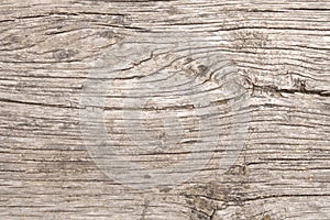 The texture of natural wood. Very old weathered pine surface. Creative vintage background