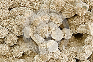 Texture of nature - gem desert rose