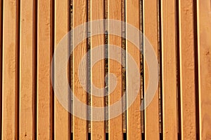 Texture of new wooden slats. Wooden background