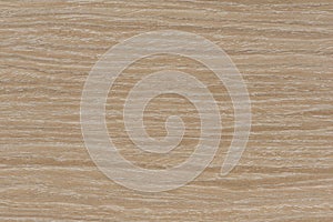 Texture of oak. Texture of natural solid wood. Oak board with a white tint, bleached wood for the production of