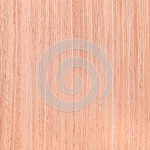 Texture of oak, wood texture series