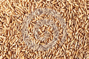 Texture from oat grains