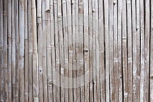 Texture of old bamboo fence