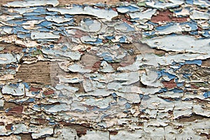 Texture, old blue paint on the boards