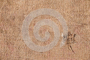 Texture old canvas fabric