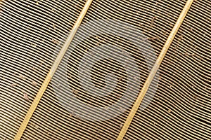 Texture of old car engine air filter