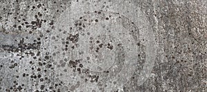 Texture of old concrete