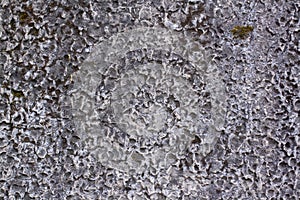 Texture of an old concrete wall with holes, hollows with green moss.