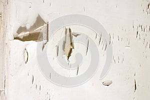 Texture of the old cracked paint light gray