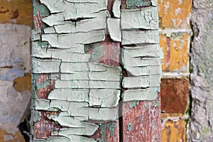 The texture of the old cracked wood, painted in blue on a background of an old brick wall.