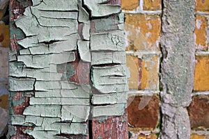 The texture of the old cracked wood, painted in blue on a background of an old brick wall. Old, cracked paint in husk