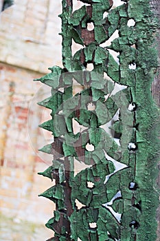 The texture of the old cracked wood, painted in blue on a background of an old brick wall.