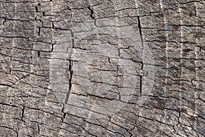 Texture of old cracked wooden surface, wood background