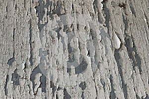 Texture of old dark grey wooden wall with cracking white paint