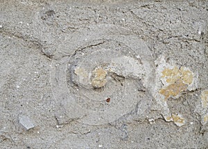 Texture of old decorative plaster or concrete